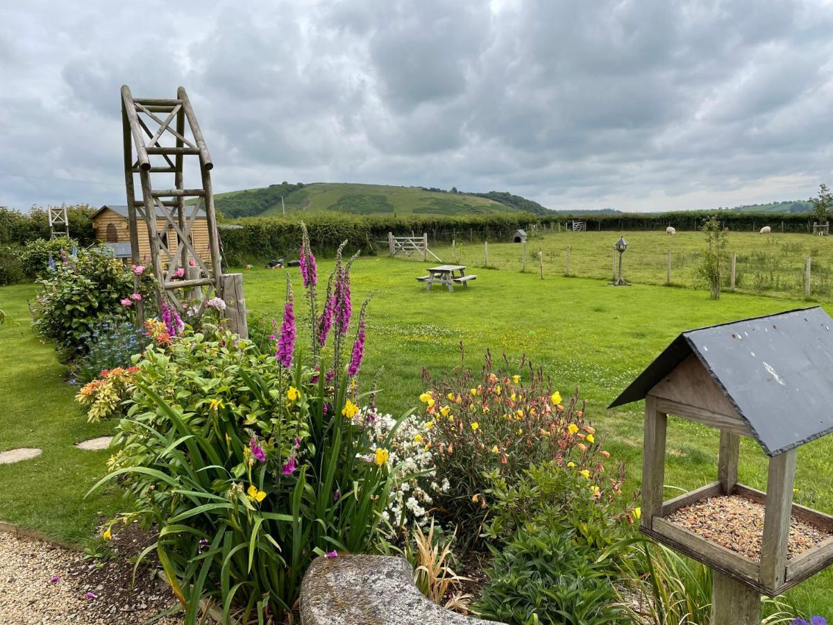 Westerley Country B & B With Exclusive Guest Lounge Buckfastleigh Exterior photo