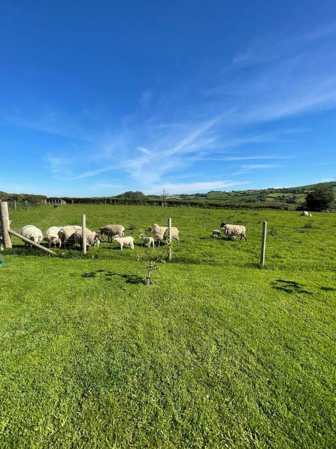 Westerley Country B & B With Exclusive Guest Lounge Buckfastleigh Exterior photo