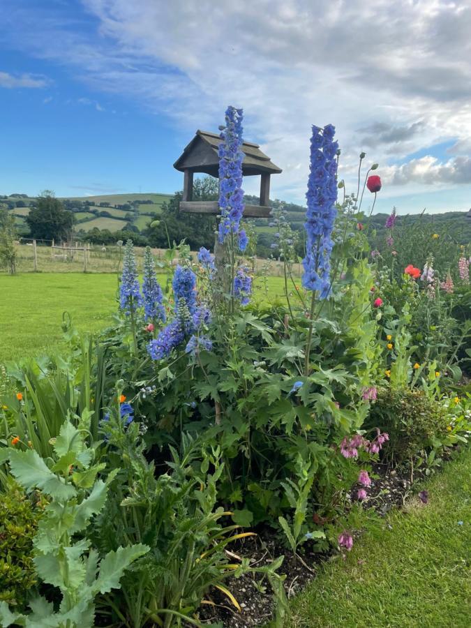 Westerley Country B & B With Exclusive Guest Lounge Buckfastleigh Exterior photo