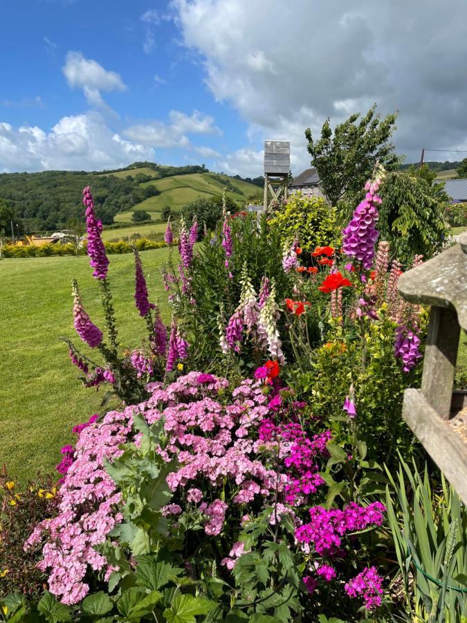 Westerley Country B & B With Exclusive Guest Lounge Buckfastleigh Exterior photo