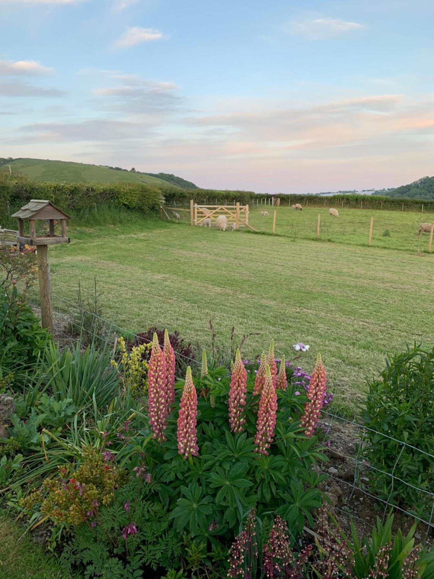 Westerley Country B & B With Exclusive Guest Lounge Buckfastleigh Exterior photo