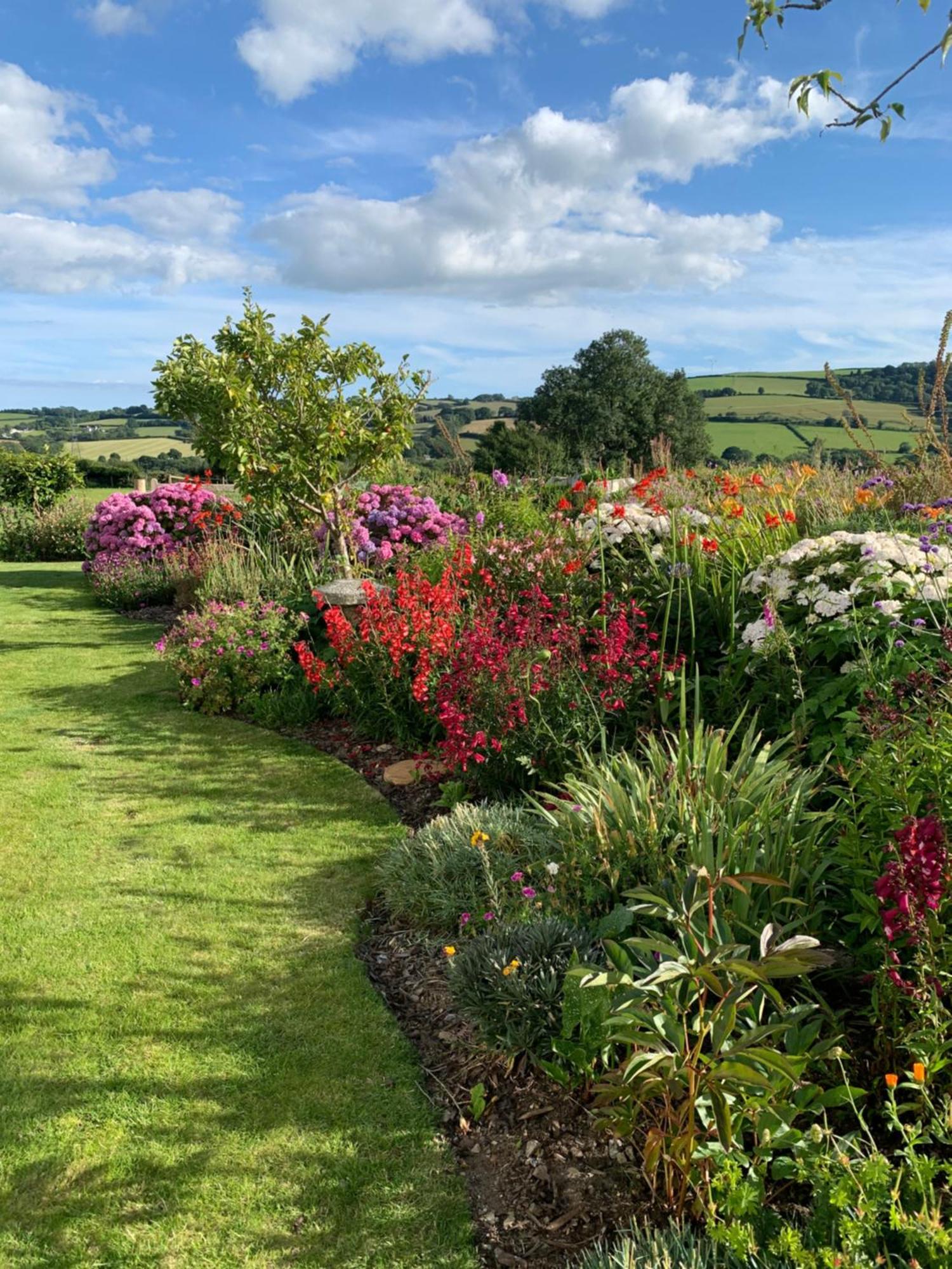 Westerley Country B & B With Exclusive Guest Lounge Buckfastleigh Exterior photo